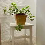 Apartment Casa Da Lurdinhas *