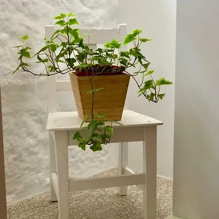 Apartamento Casa Da Lurdinhas *