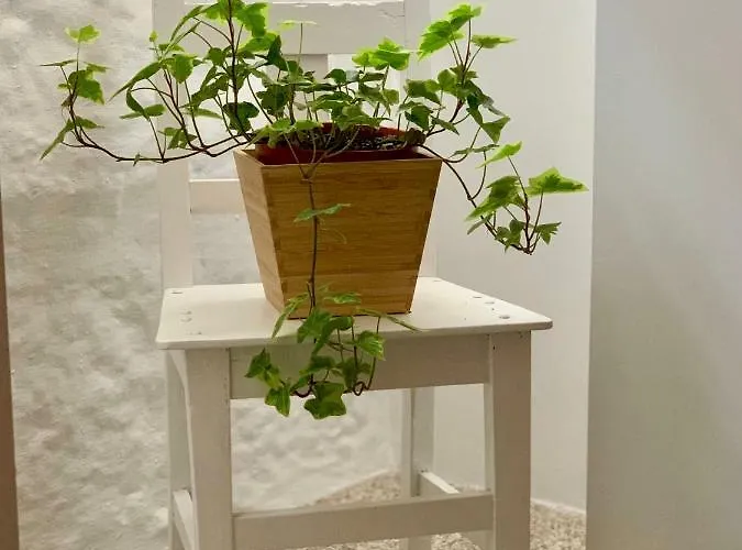 Lägenhet Casa Da Lurdinhas *