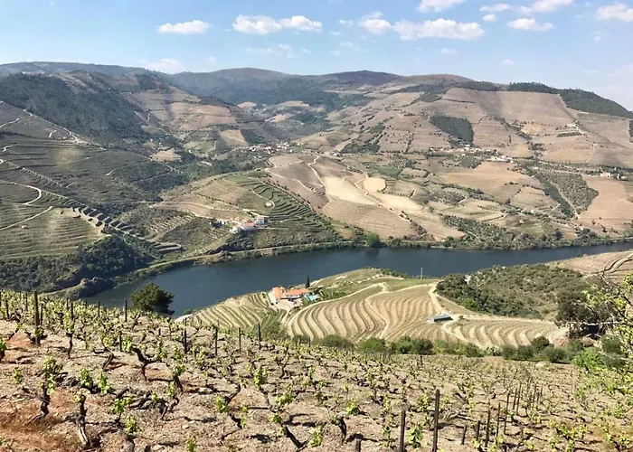 شقة Casa Da Lurdinhas *